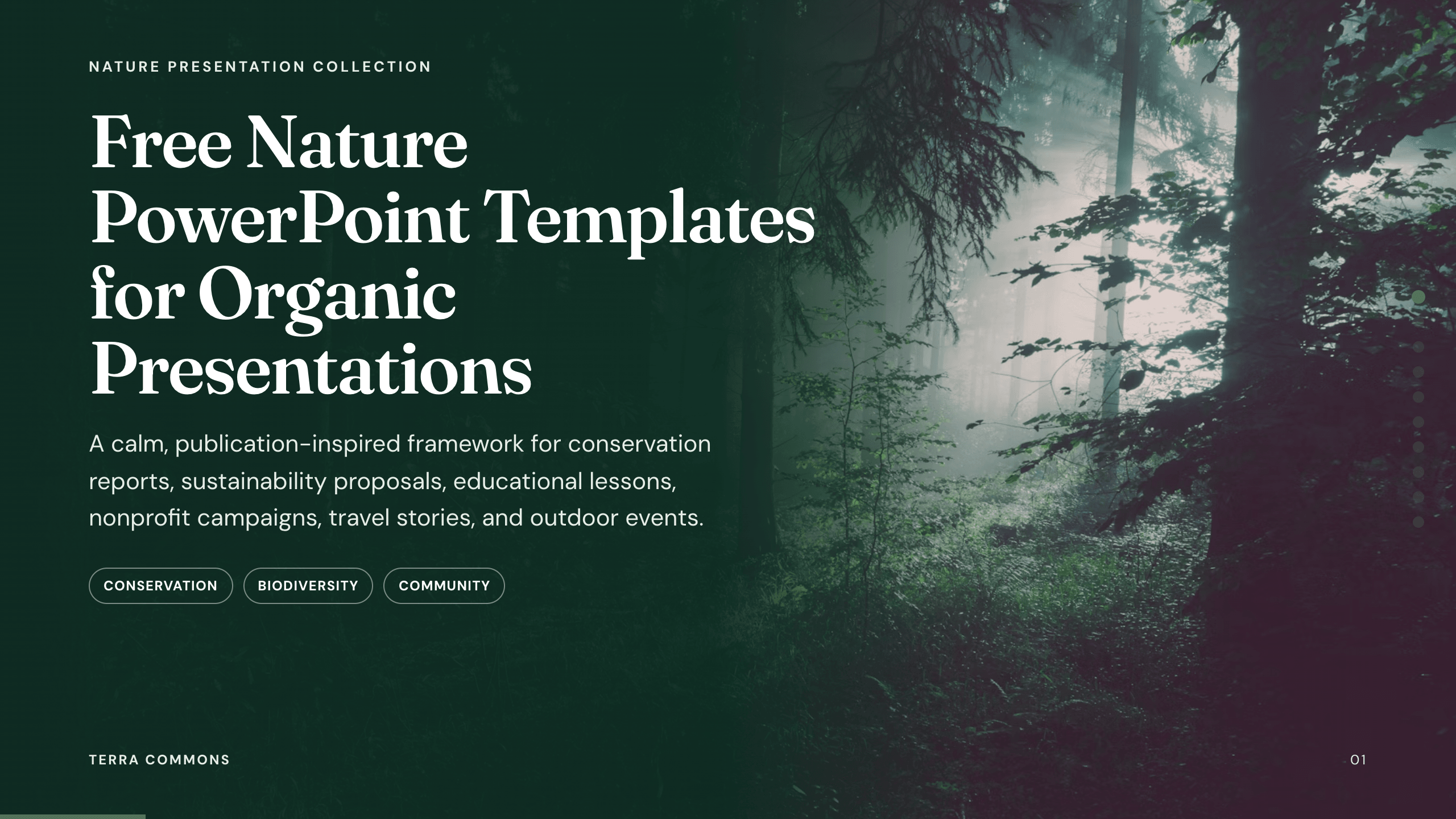 Free Nature PowerPoint Templates example deck made in Julius