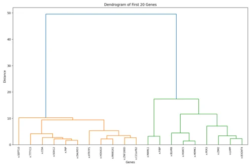 Create Dendrogram