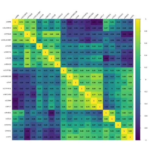 Create Correlation Matrices & Heatmap